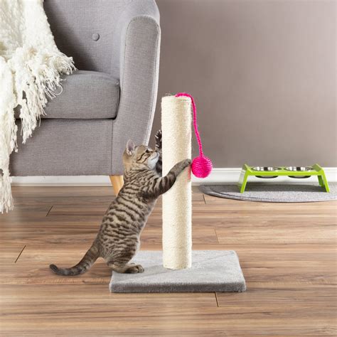 Cat scratch pole walmart - How to Measure Sisal for Cat Post. Take the height (ours is 30″) divided by the width of the rope (3/8th inches or .375 inches), which equals 80. This means our rope wraps around the post roughly 80 times. Measure around the post, ours is 12″. So, 80 multiplied by the circumference of the post (12 inches) equals …